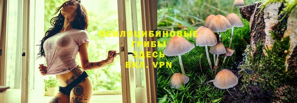 твердый Алзамай
